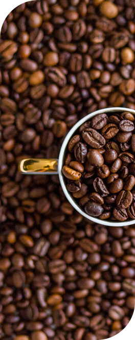 le café du Rwanda et ses exportateurs